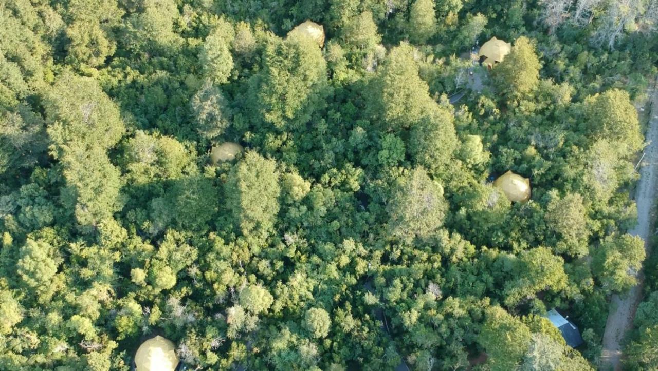 Cuyinco Domos Villa Riñinahue Kültér fotó